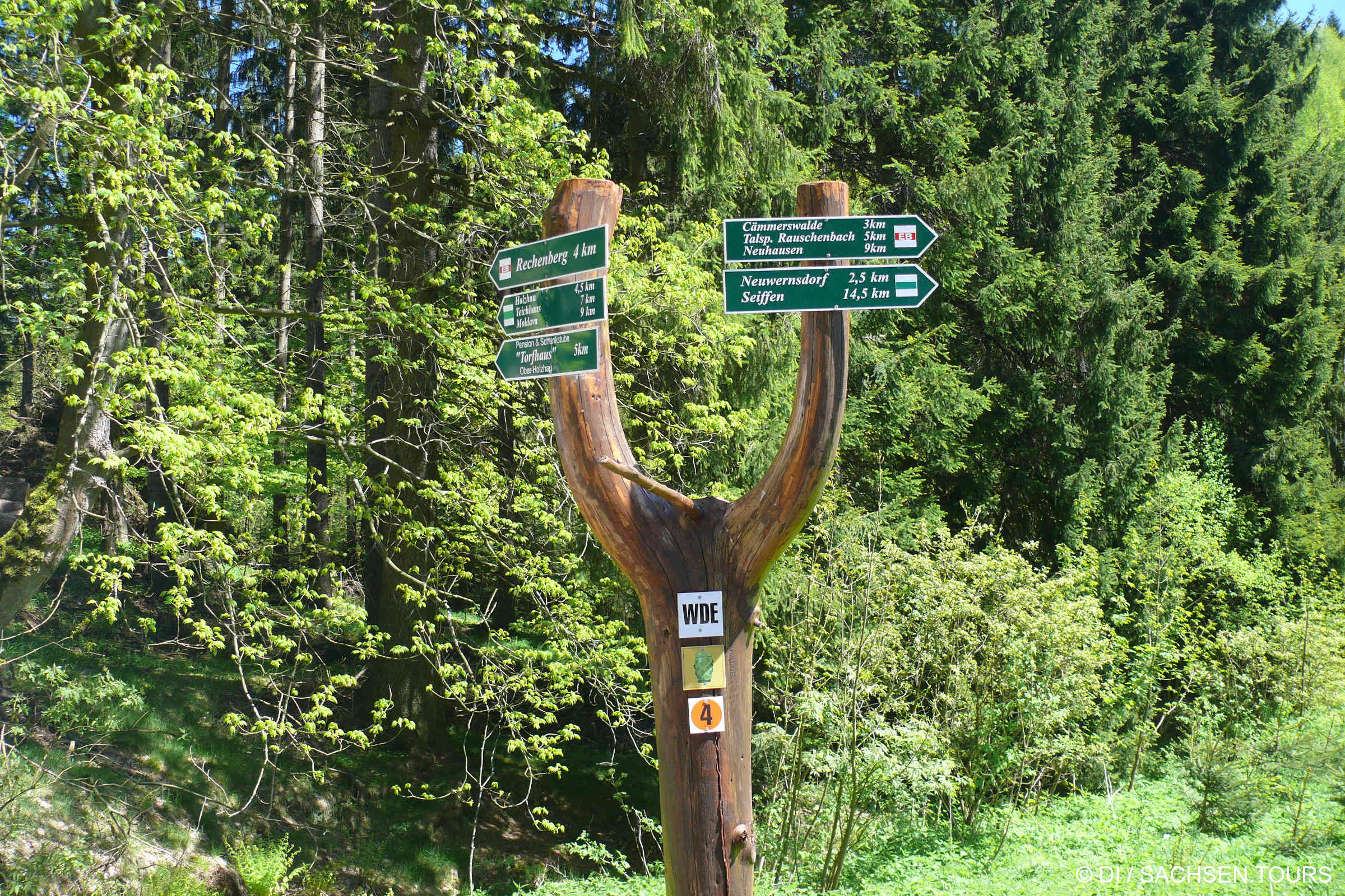 Wandern Rechenberg