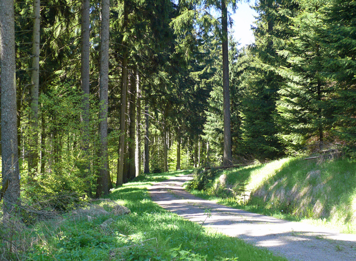 Wanderweg in Holzhau