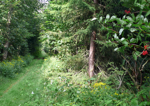 Wandern im Erzgebirge