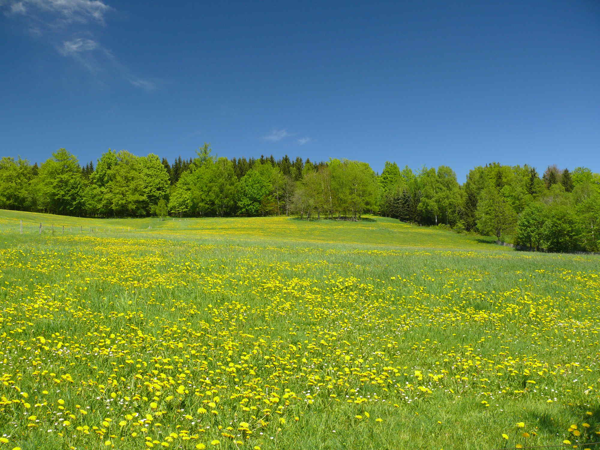 Erzgebirge Rauschenbach