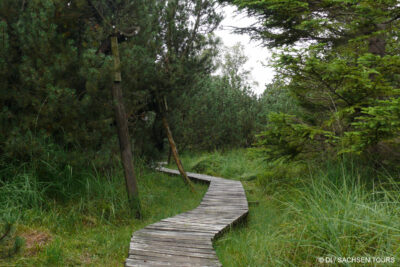 Georgenfelder Hochmoor